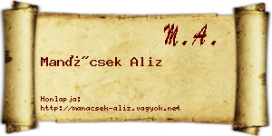 Manácsek Aliz névjegykártya